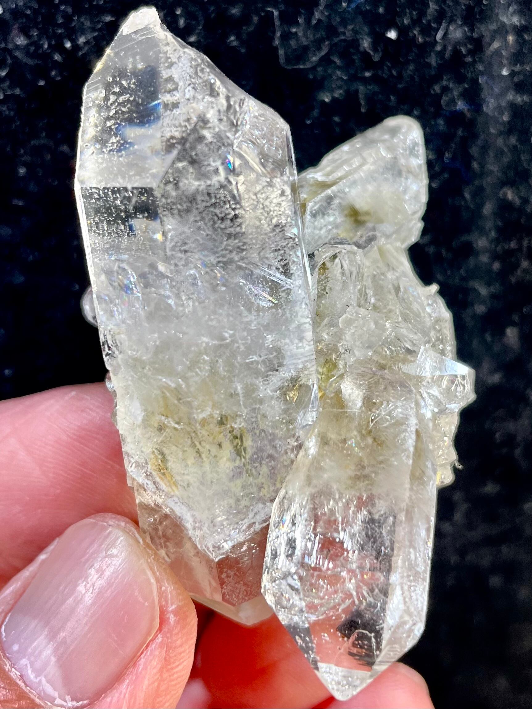 14) ゼッカデソーザ・クリスタル(超美品)