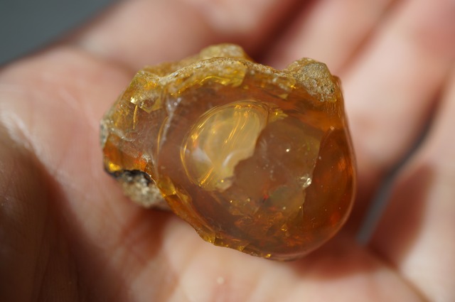 エッグ・イン・オパール Opal Egg 2272