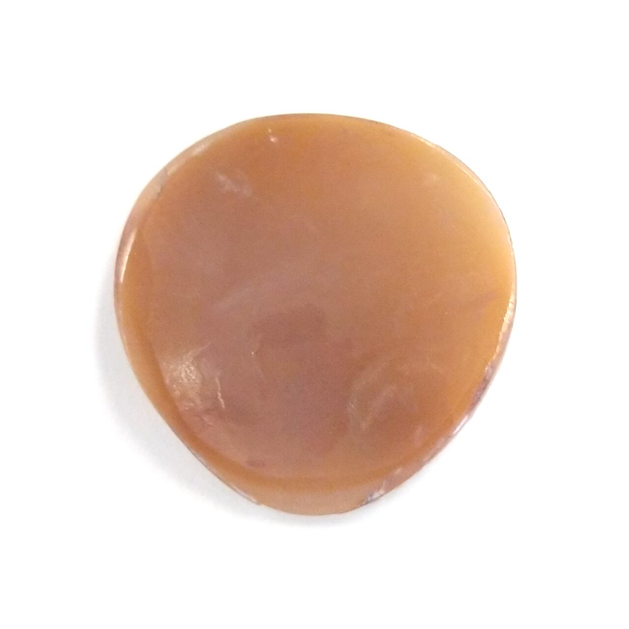 蔵出し！フクロウのシェルカメオ ルース | 柳澤商会 ジュエリーショップ