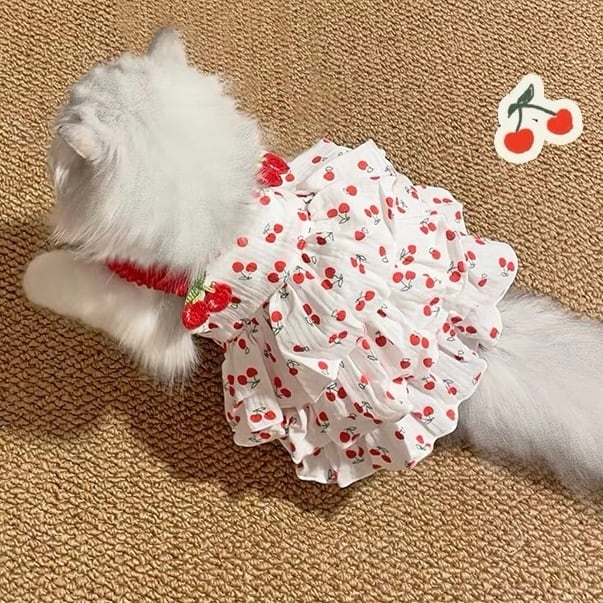 Cherry Frill ワンピース 猫 服 キャットウェア さくらんぼ | nyanpets