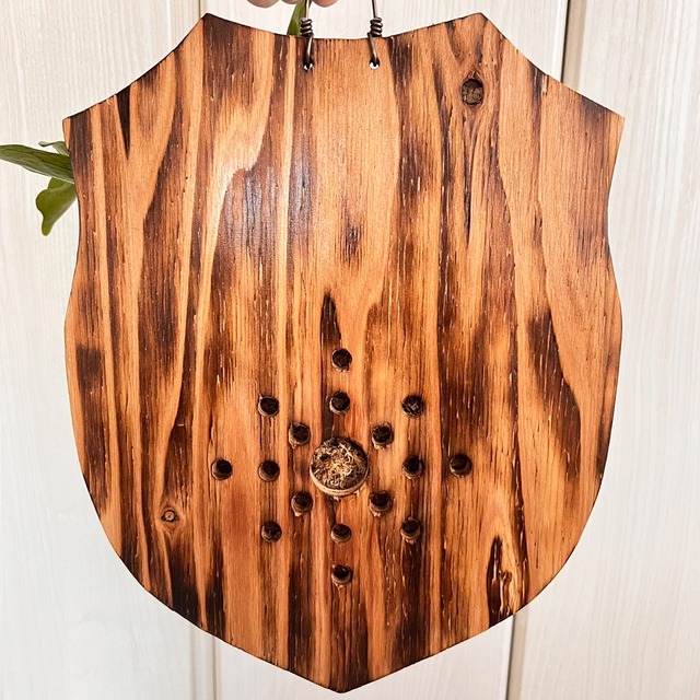 ビカクシダ グランデ 板付 【観葉植物 壁掛け コウモリラン】