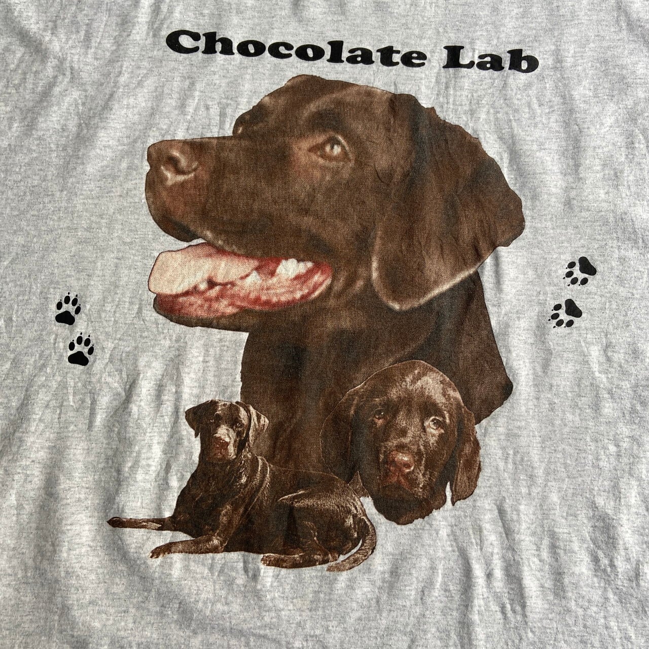 ビッグサイズ 00年代 Chocolate Lab ラブラドールレトリバー アニマル 