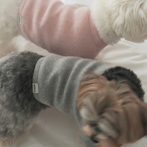 【即納】Eyelet Crop T-shirt｜Pink