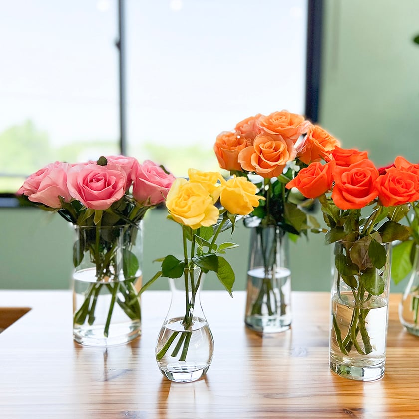 規格外品☆救済企画〉ショート☆ダズンローズ 12本＋葉もの