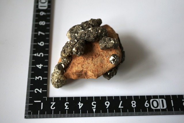 パイライト / リモナイト  Pyrite / Limonite 877