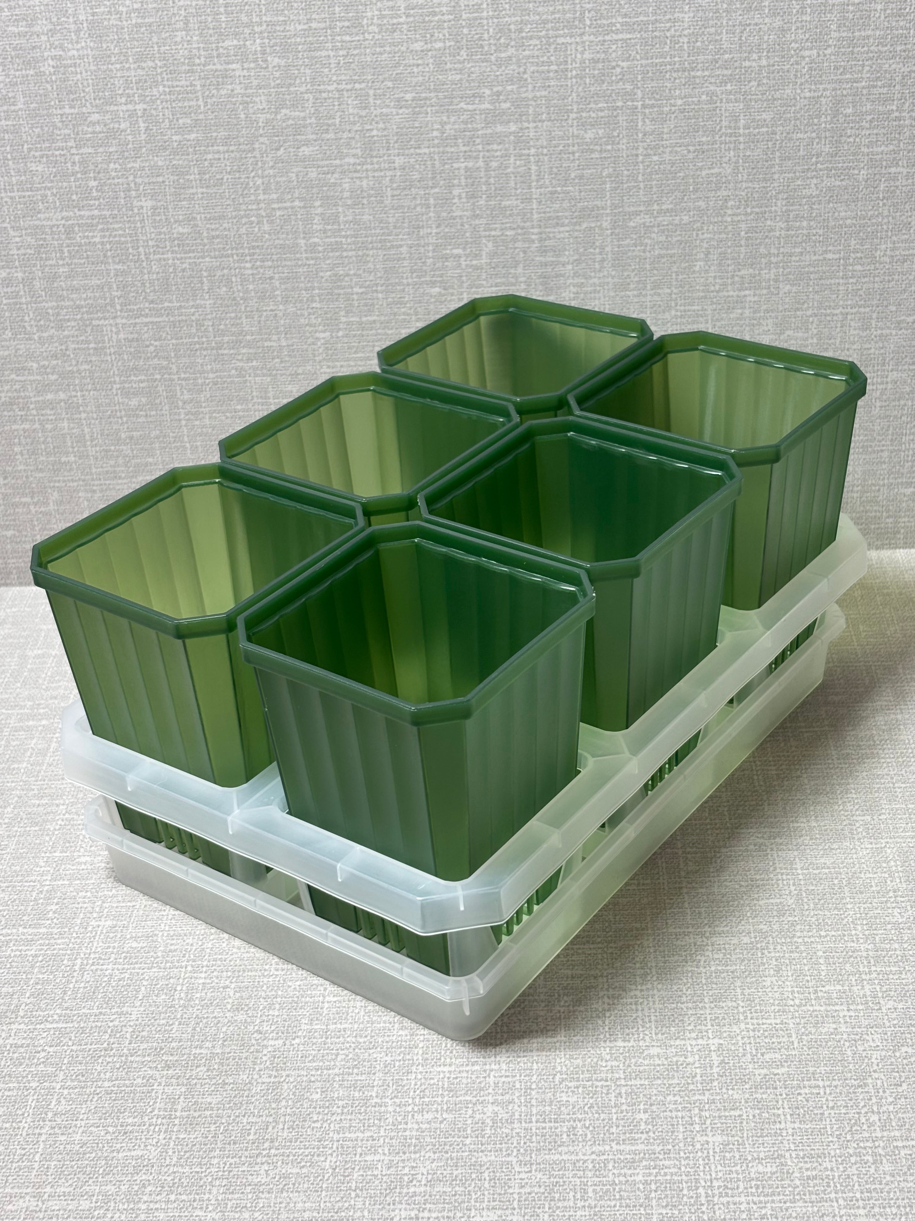 【D1】10㎝深ルータルスリット グリーンセット 皿付き