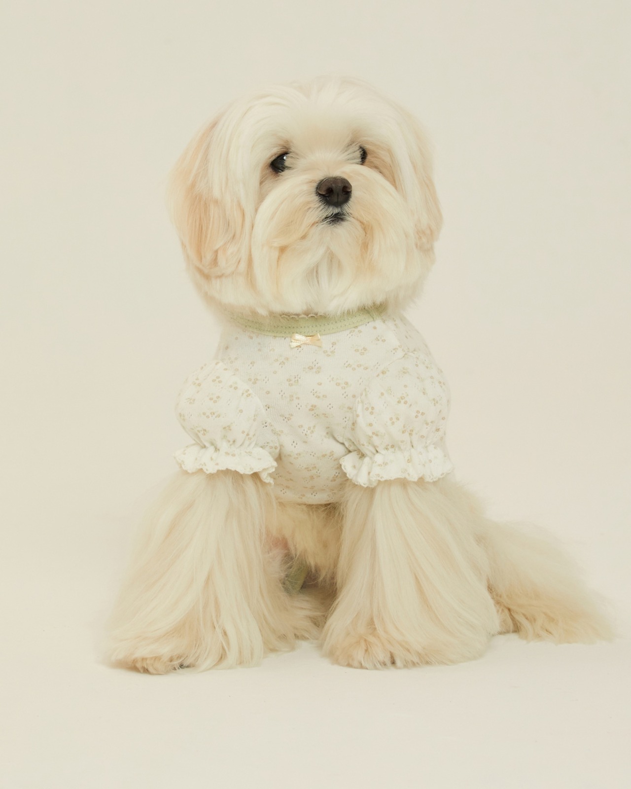【予約】[ thesallyslaw ] Chloe Puff Romper｜Lime Floral - 2