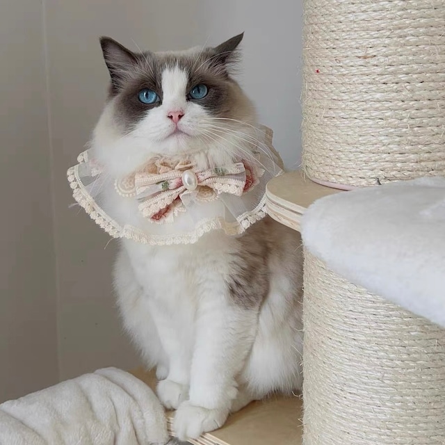 フラワー刺繍リボンエプロン 猫 すたい 付け襟 猫グッズ