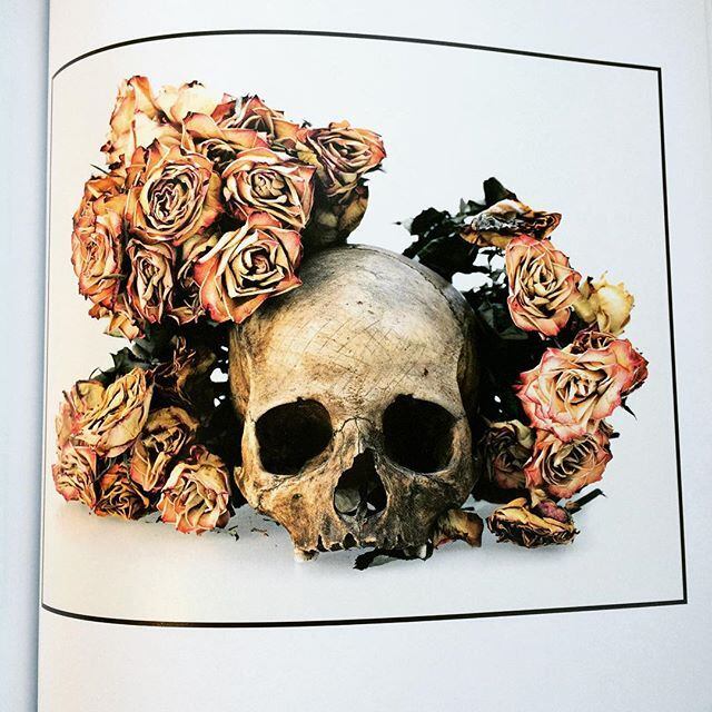 写真集「Flowers, Skulls, Contacts／David Bailey」 - 画像2