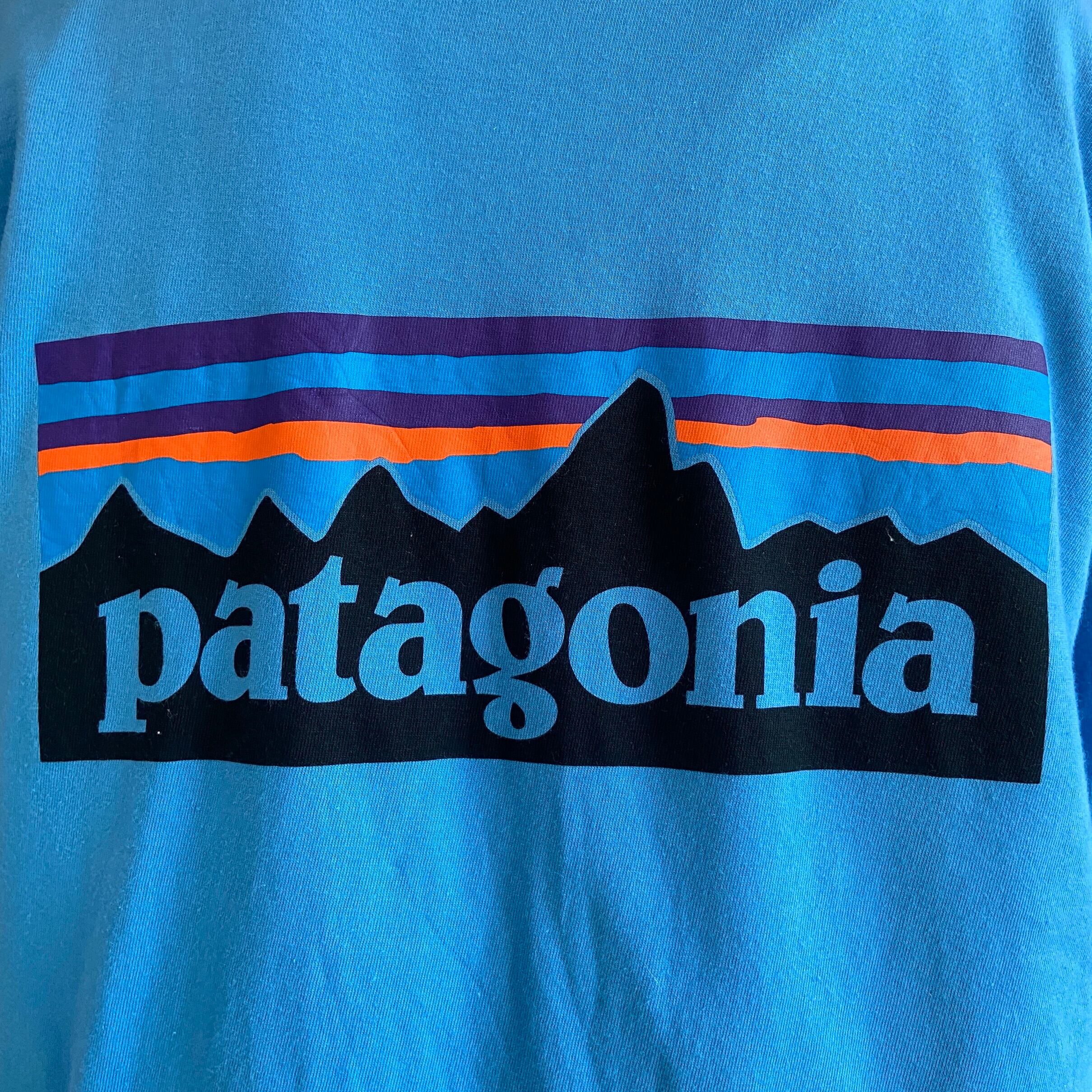 655cm身幅パタゴニア Patagonia ORGANIC COTTON オーガニックコットン バックプリント ロングTシャツ ロンT USA製 メンズL /eaa354041