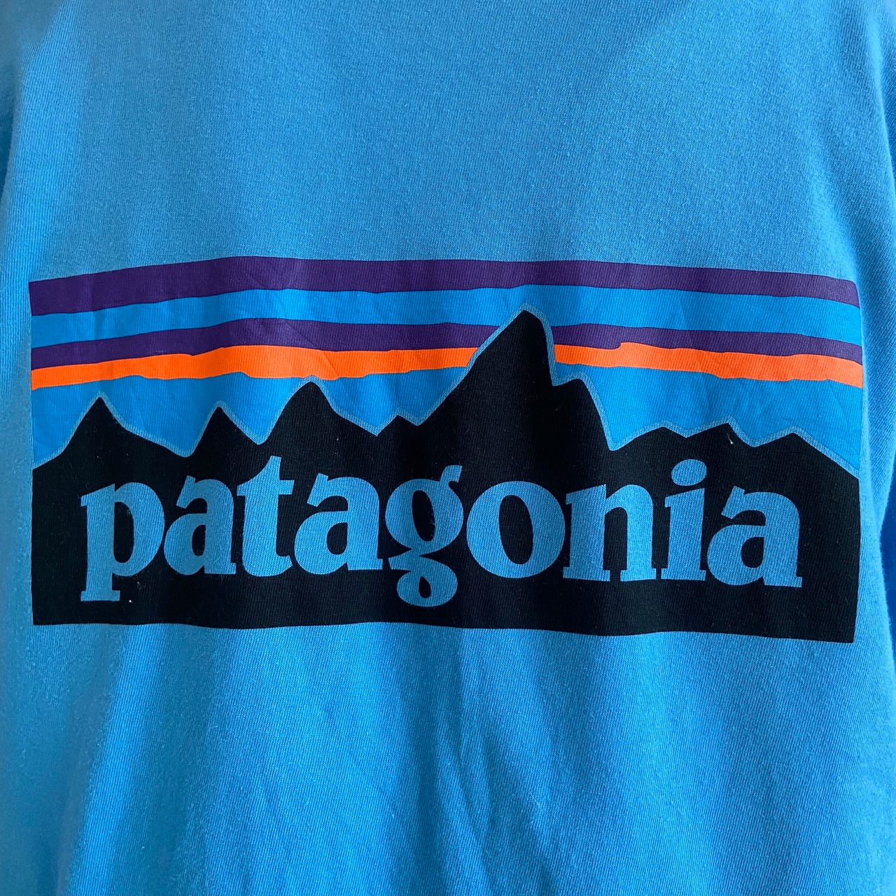 patagonia パタゴニア 胸ロゴ バックプリント ロングTシャツ ロンT 
