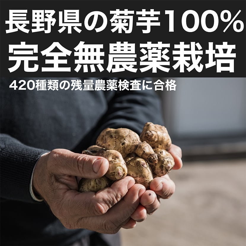菊芋茶 単品1袋 長野県産 無農薬 菊芋100％ ティーバッグ ノンカフェイン 自然派