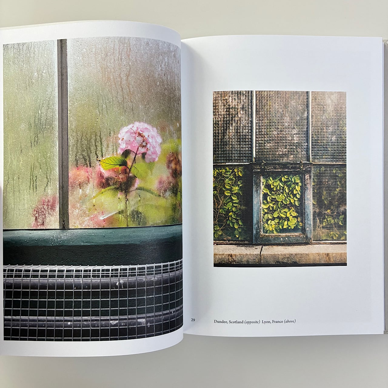 洋書植物 Botanical | 素敵な洋書絵本のお店 Read Leaf Books
