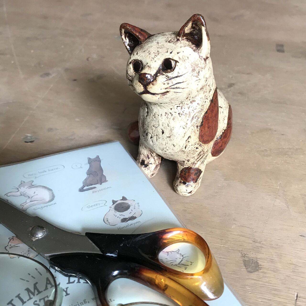 茶ブチの猫 S-3 | Gallery DoDo