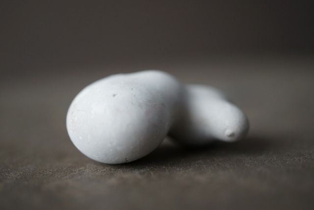 メニライトオパール Menilite Opal 1924