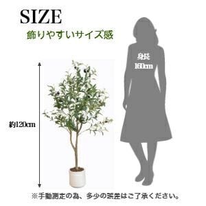 生花店監修】 フェイクグリーン オリーブ オリーブの木 リアル 人工