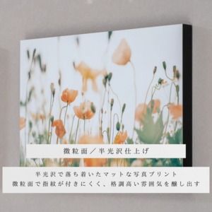 【OPEN記念・数量/期間限定】Quaint Flower World