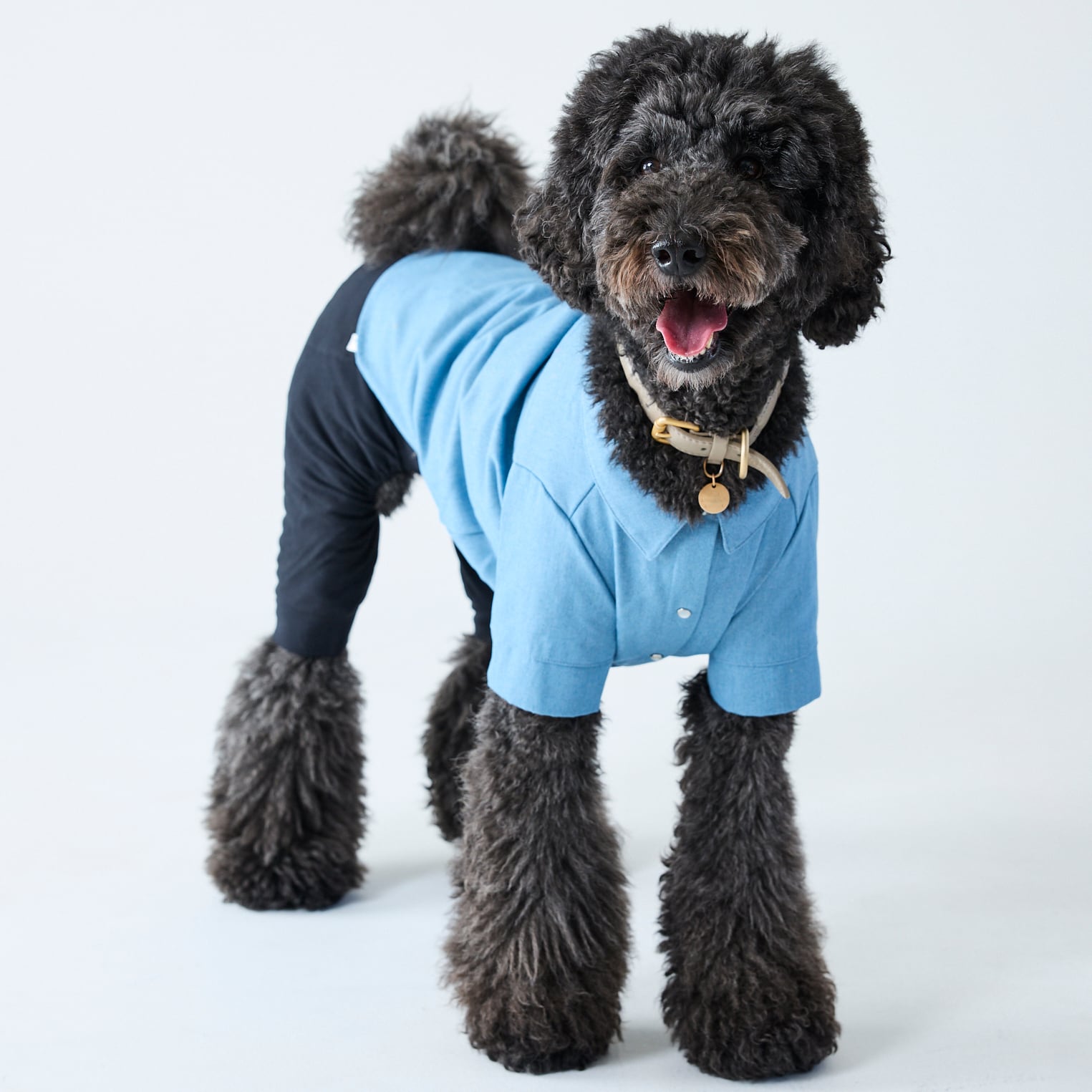 252501大型犬サイズ］デニムシャツ | 犬服ブランド 2e deuxieme cale