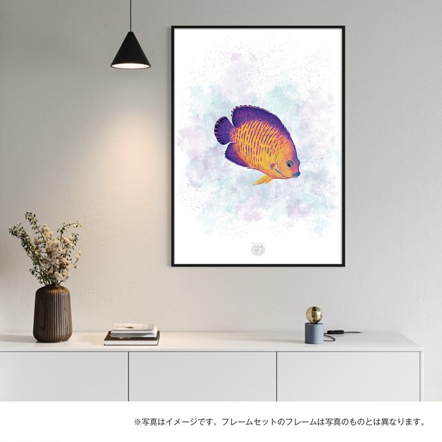 【海のいきものアートポスター／魚】ルリヤッコ