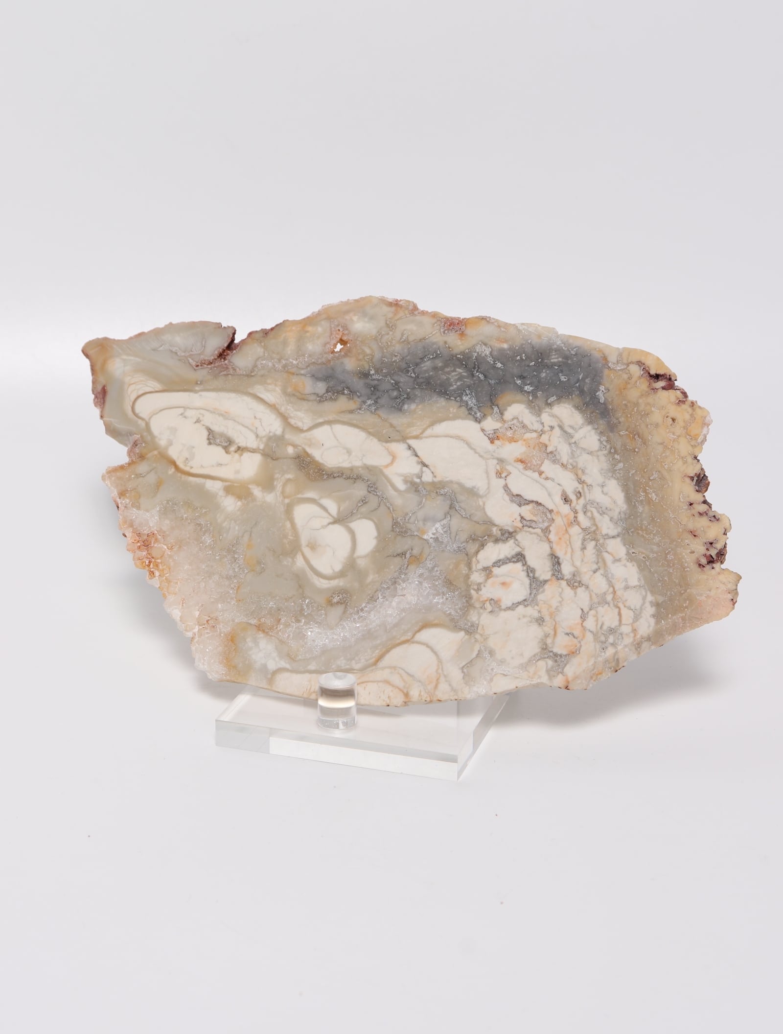 IBIS JASPER SLICE | Madagascar | acenus