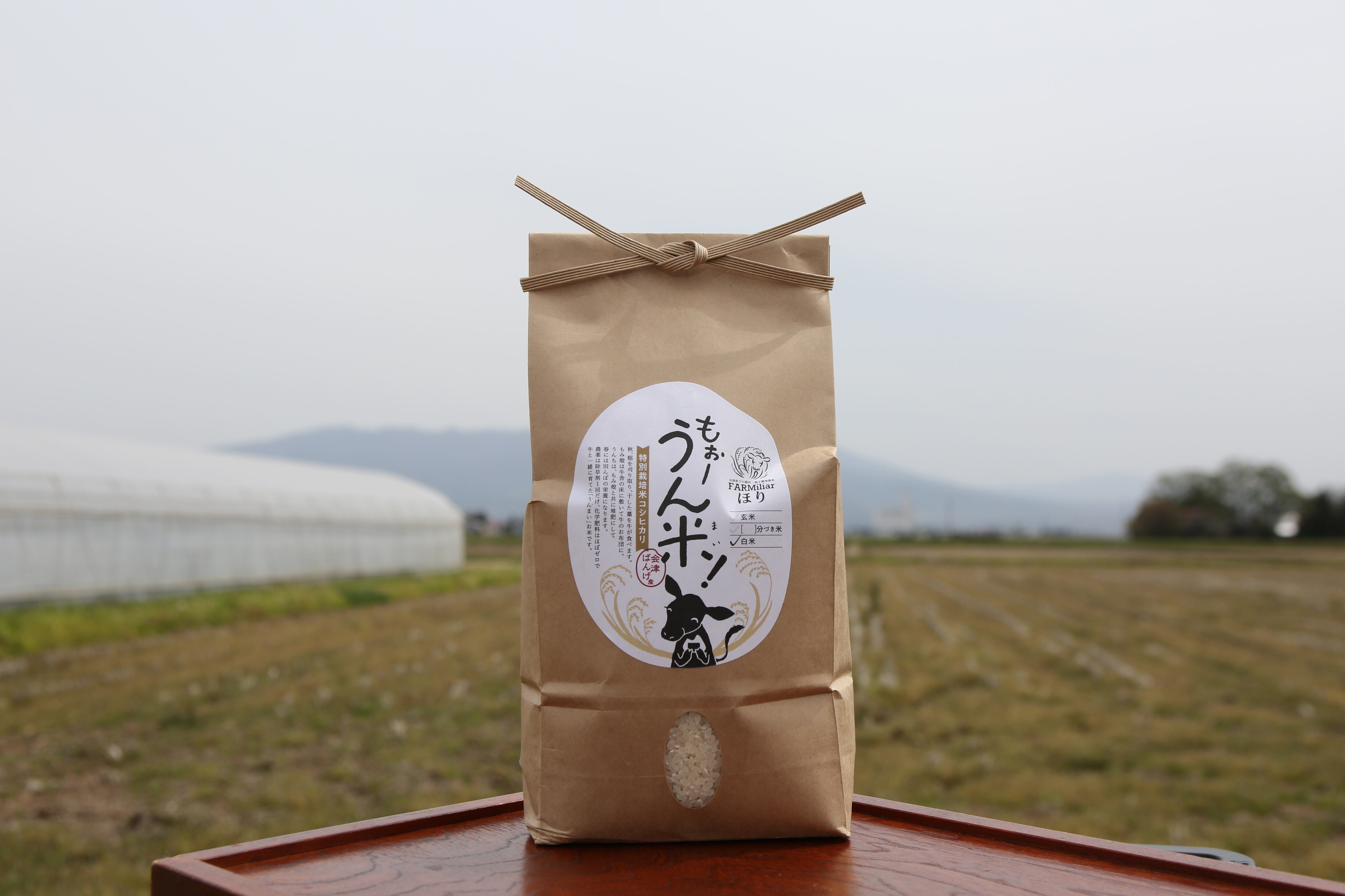 専用 中米 20kg 専用 中米 20kg モノ様専用です 中米20kg(2.5kg×8袋) 【
