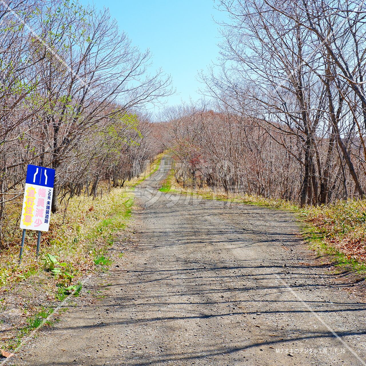 秘境へ続く道　 road to the secret