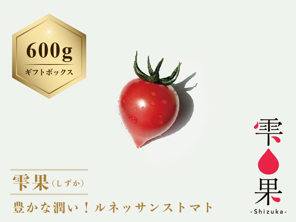 数量限定！ルネッサンストマト【雫果（しずか）プレミアム】600g