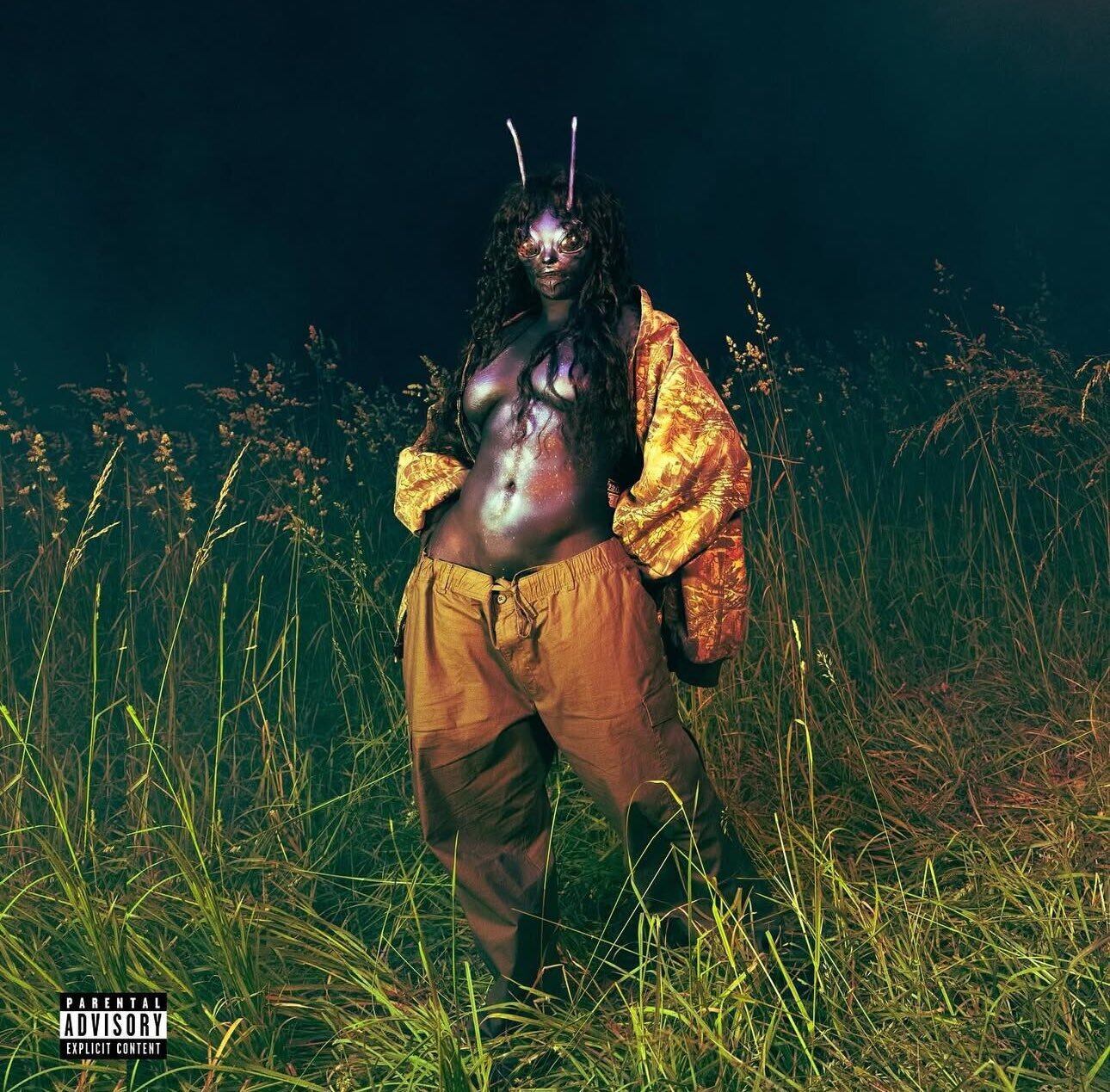 SZA / SOS Deluxe:Lana(Ltd Green 4LP)