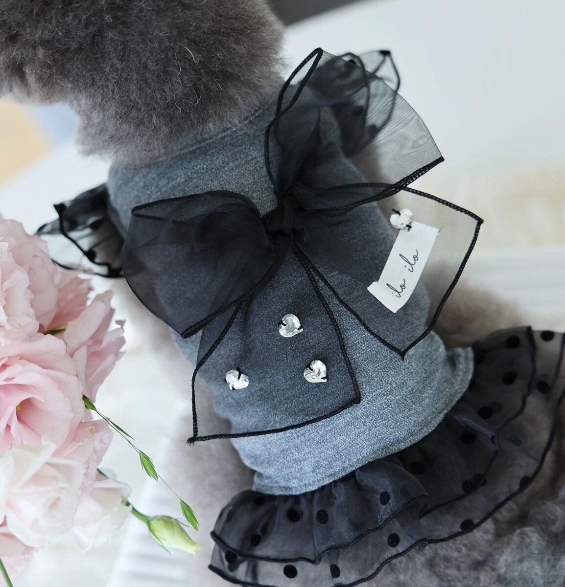 《予約》IL0053 Bigbow Cool T/s - Charcoal