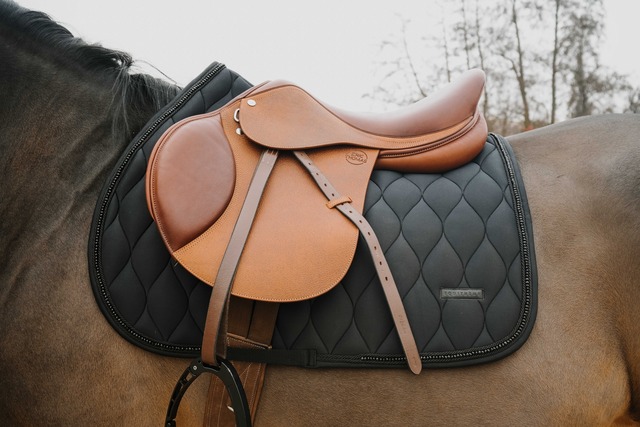 EQUITHÈME Pearl エキテーム 障害・総合用 ゼッケン［お届け目安：2〜3週間］