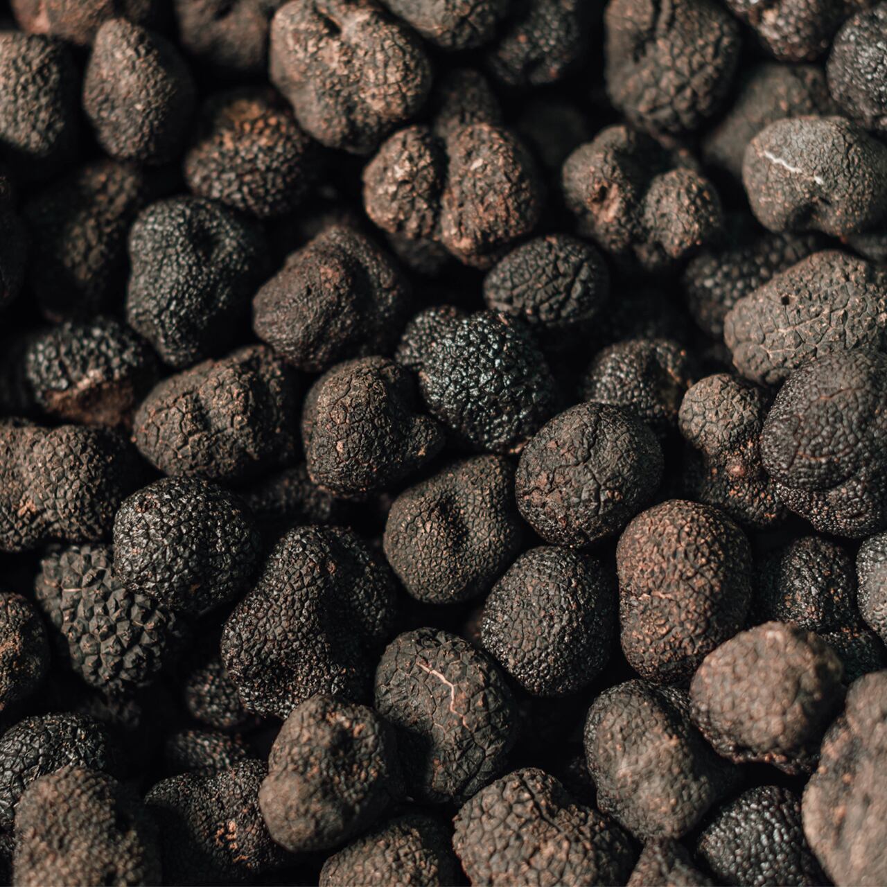 国産　黒トリュフ プリザーブド黒トリュフ【化粧箱入り】 | FRESH TRUFFLE JAPAN