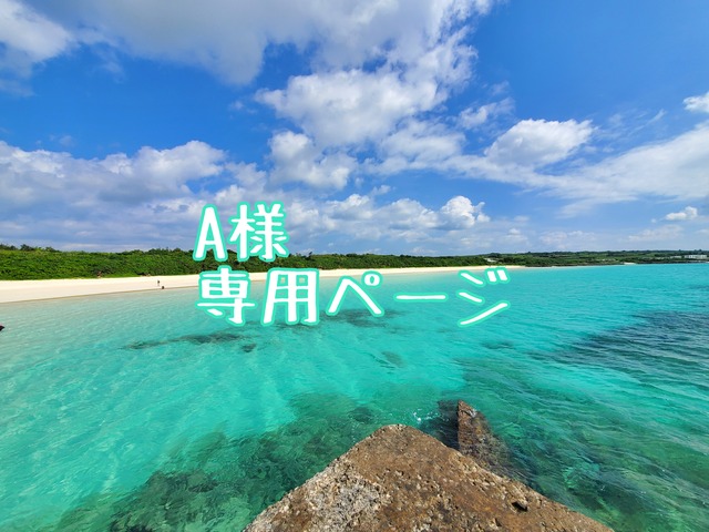 A様専用ページ