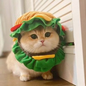 猫 帽子 犬 帽子 ペット 帽子 ハンバーガー コスプレ 猫用 犬用 被り物 かぶりもの ペット用品 かわいい おもしろ 変身 なりきり コスチューム 仮装 ペットウェア 猫グッズ 犬グッズ 小型犬 猫用帽子 ふわふわ 写真撮影 SNS映え 誕生日 ハロウィン クリスマス S M L 商品画像6