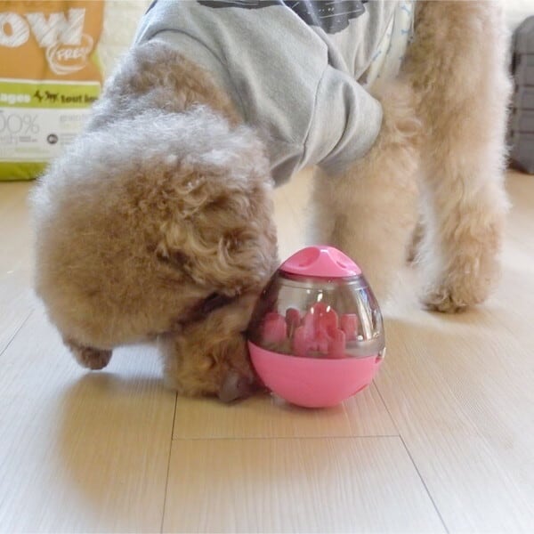 iFetch アイフェッチ 並行輸入品】アイフェッチ iFetch インター