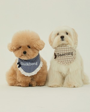 【予約】[ thesallyslaw ] Maybel Naming Bandana｜Cinnamone