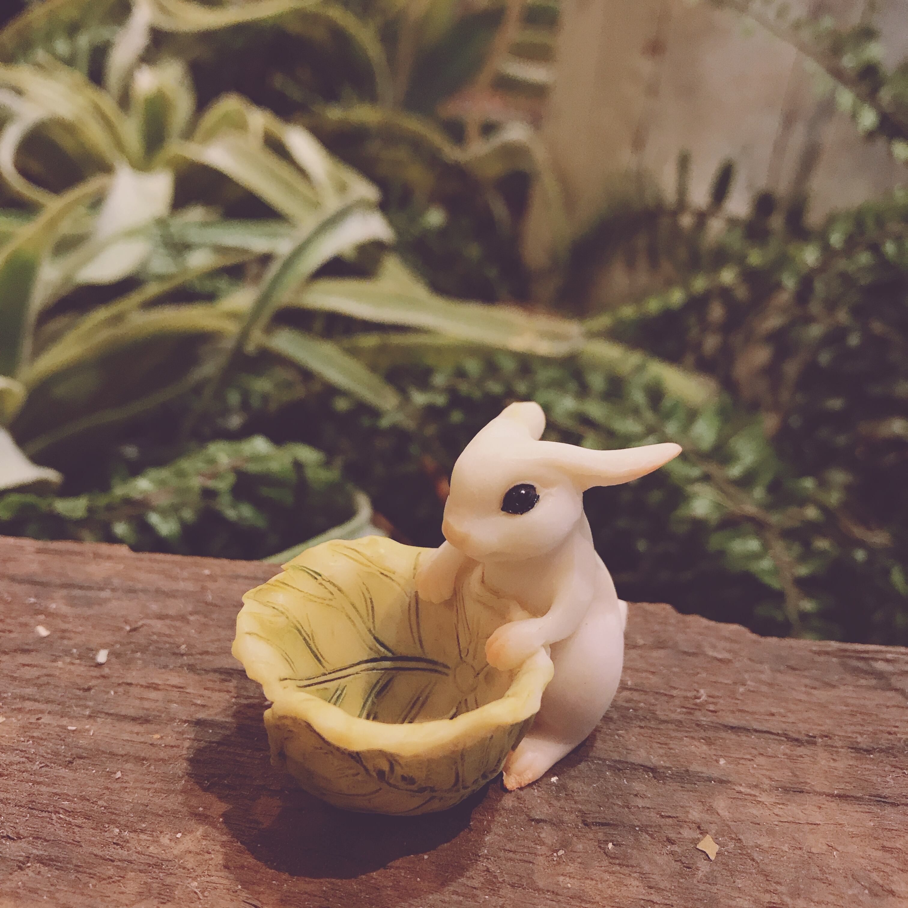 森のどうぶつシリーズ キャベツボール うさぎ Cafe Cherish