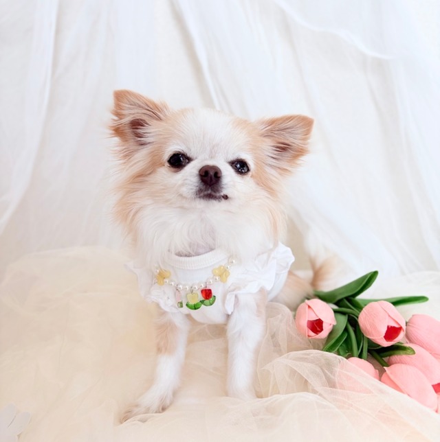 チューリップいっぱいネックレス