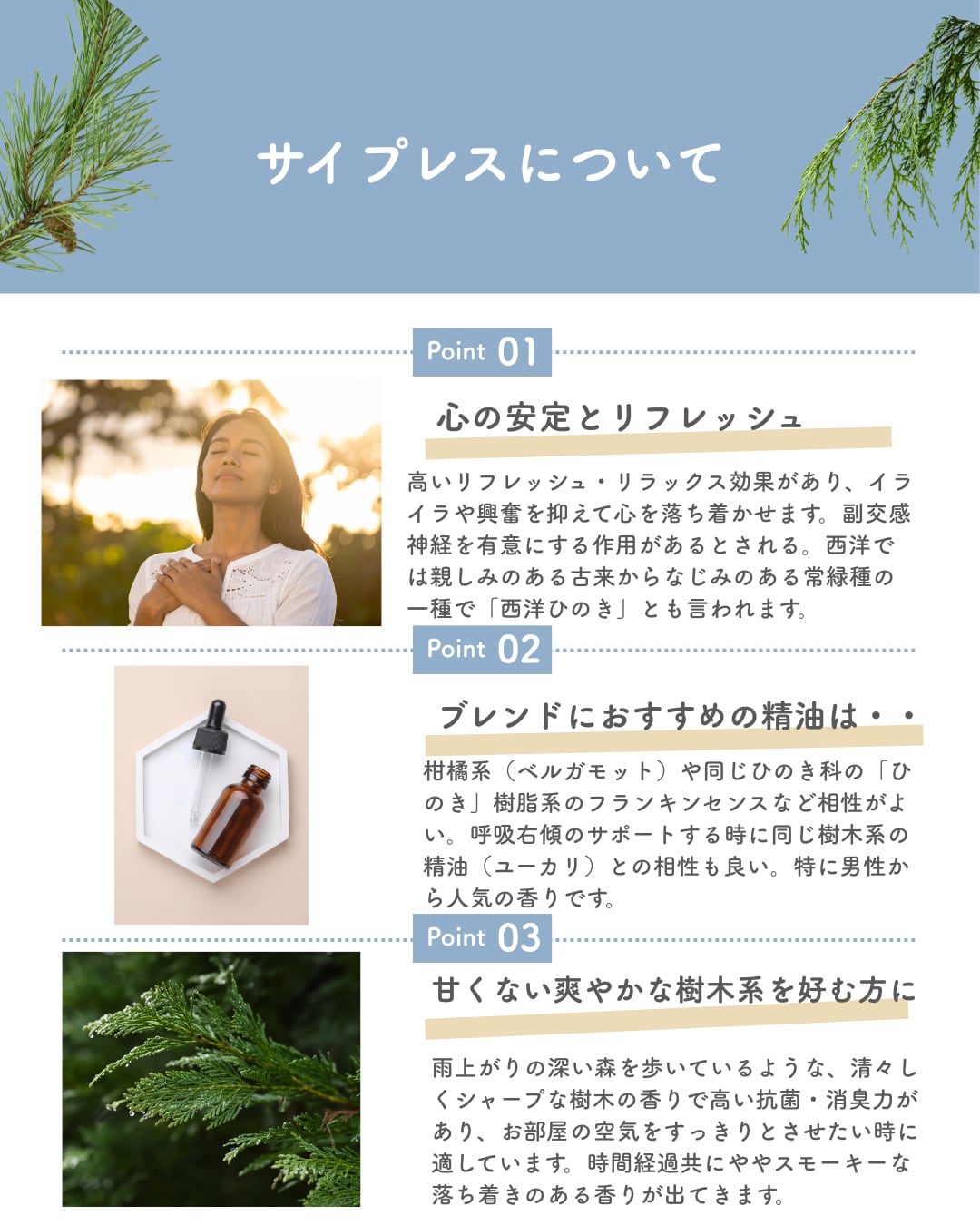 ■10ml サイプレス精油 / エッセンシャルオイル