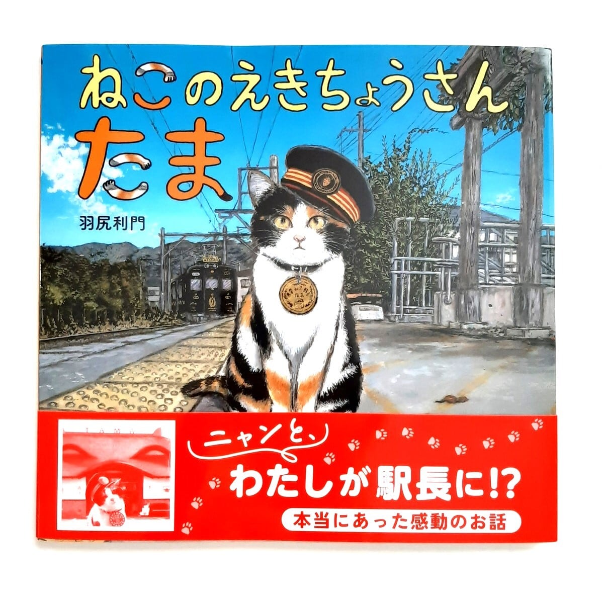 ねこのえきちょうさん たま | ねこのみち