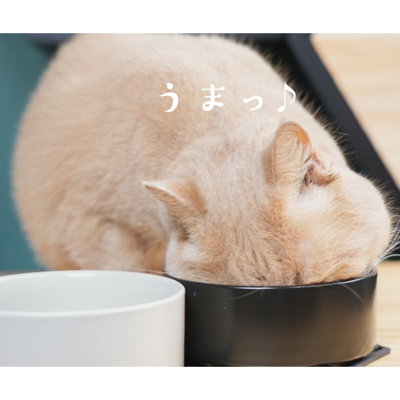 【なめらかな質感で食べやすい陶器食器（ブラック）】耐熱,割れにくい,高級な北欧風の陶器食器,滑らかな質感で洗いやすい！