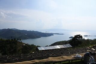 【ルワンダ】 スカイヒル  コプロカWS ［1000g］中深煎り自家焙煎珈琲