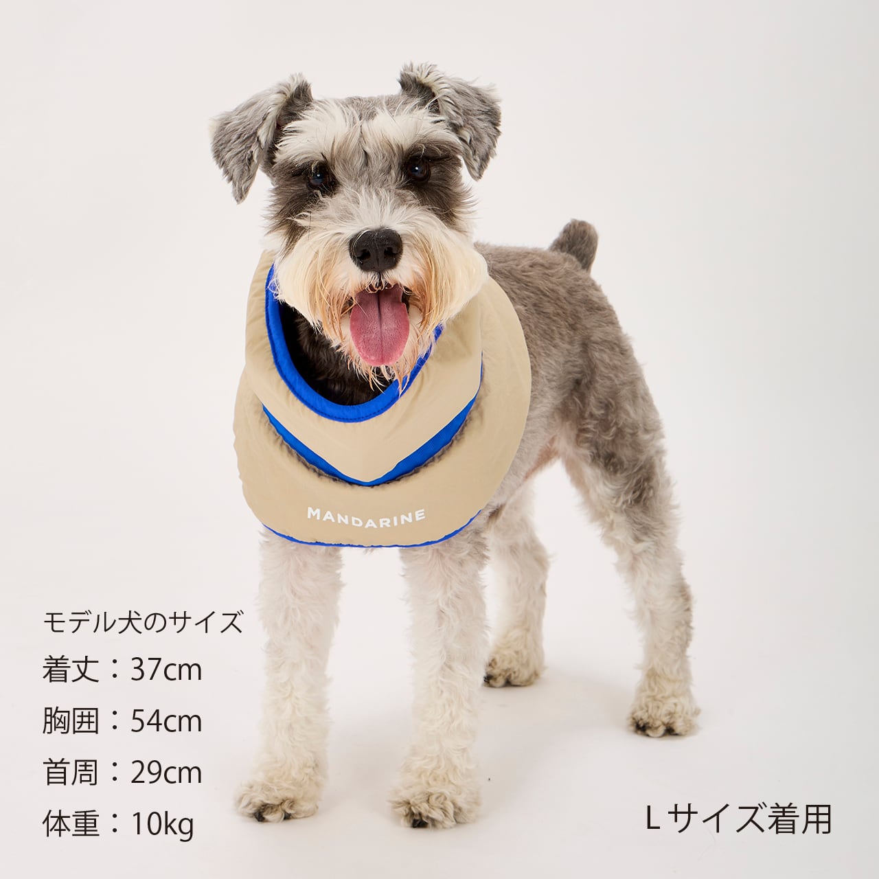 COOLING COLLAR（M） クーリングカラー | MANDARINE BROTHERS