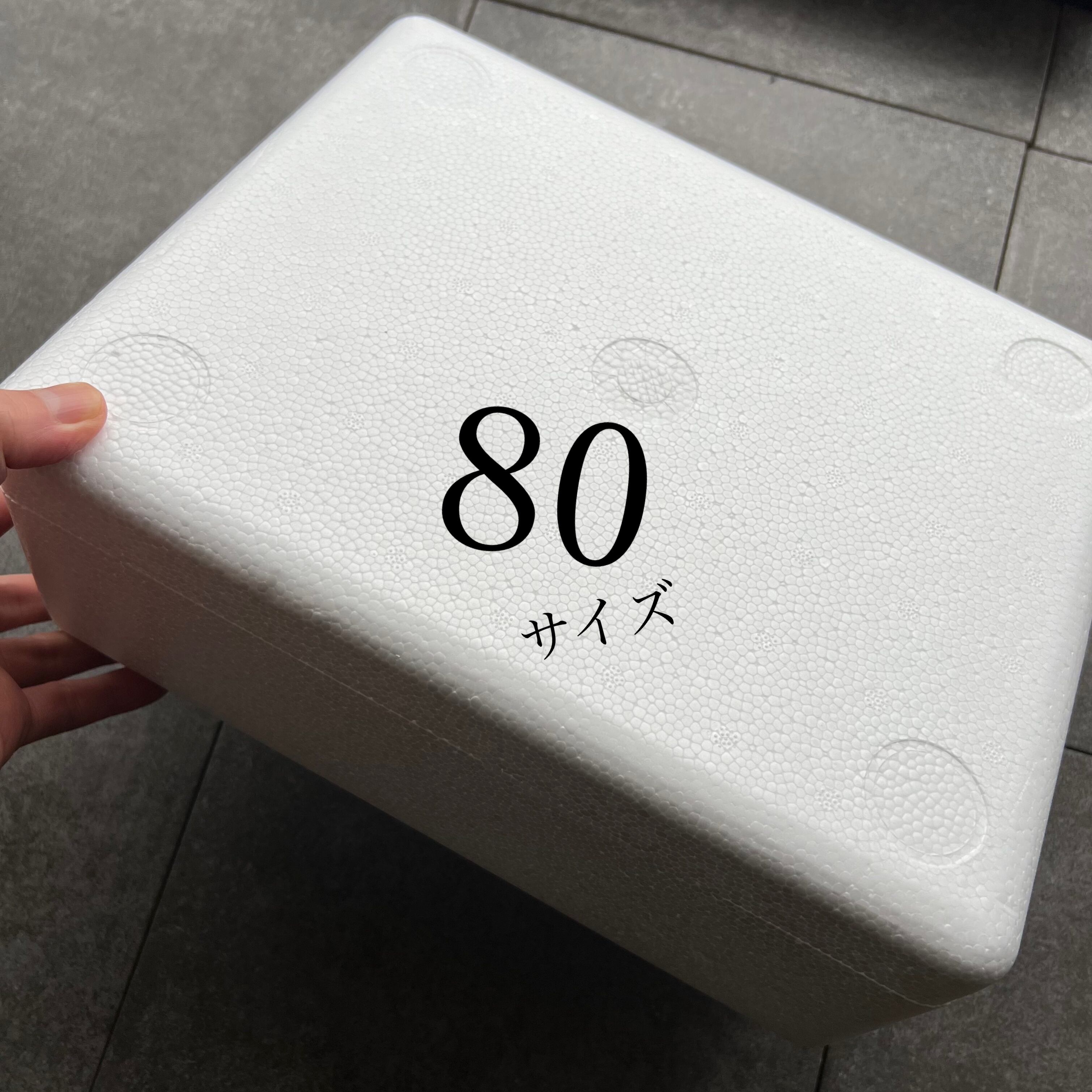 発泡スチロール箱 80サイズ | Exotic Botanics