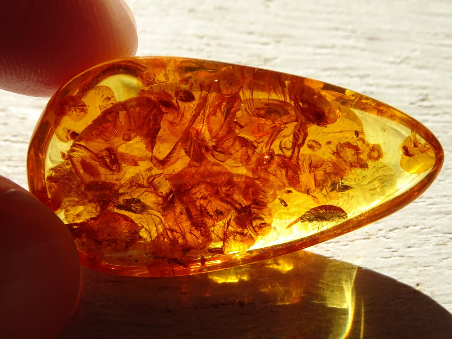 バルティックアンバー（バルト海琥珀） ~蜜色の海~ | 虹石屋