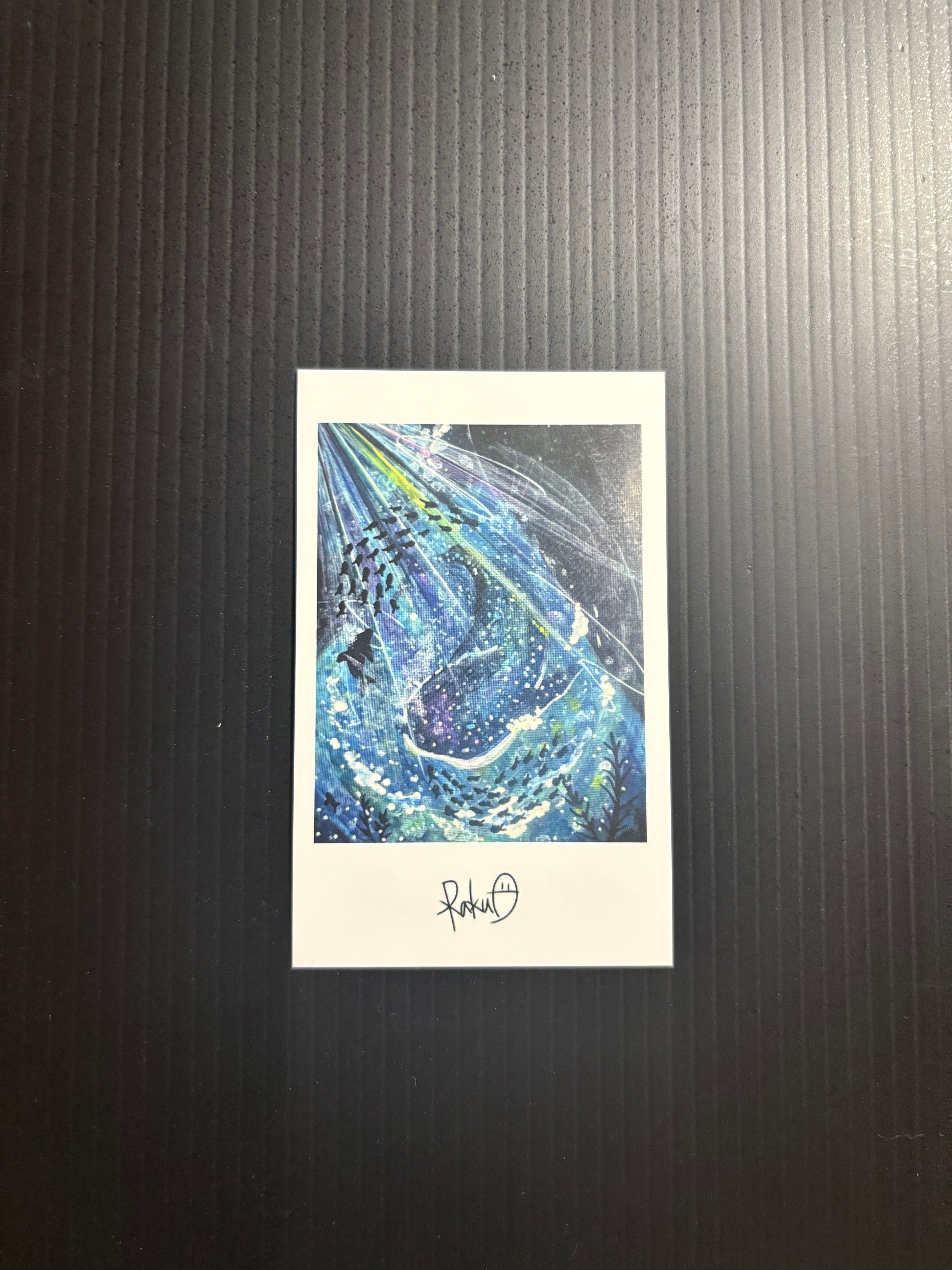 チェキ風イラスト】カメ-太陽- | Rakuo ＆ Rakumaru