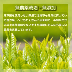 無農薬栽培の嬉野茶 特選釜炒り茶「ふじかおり」【40g】