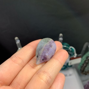 バイカラーハリネズミ  フローライト