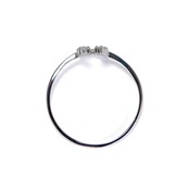 Pt900 ダイヤモンド0.1ct 馬蹄（バテイ） ネックレスorリング 選べる