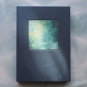 本の種 ｜laNi edition — 雨上がり