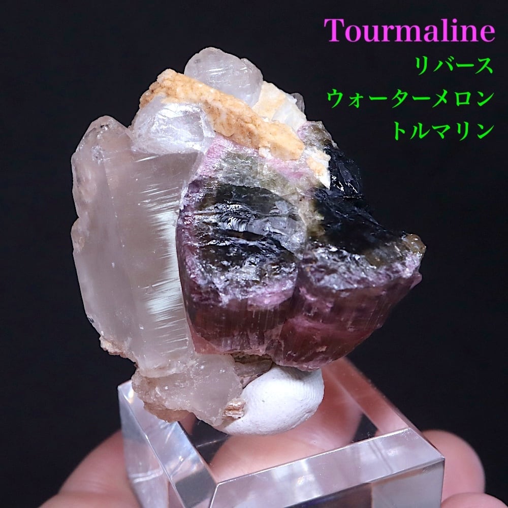 リバースウォーターメロントルマリン クォーツ 電気石 38.6g T769 鉱物 天然石 原石 パワーストーン